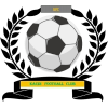 https://img.xjmjcc.com/img/football/team/6dc6d59af2f0962597b412473a6708ee.png